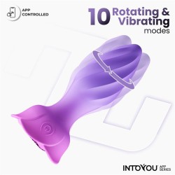 Plug Anal Vibración Moxy Rotación 360º – Intoyou® App Series|Juguetes Anales para Mujer